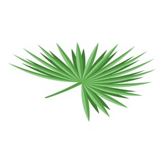 Canvas Print - Palm tree leaf icon. Isometric of palm tree leaf vector icon for web design isolated on white background
