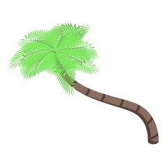 Canvas Print - Exotic palm tree icon. Isometric of exotic palm tree vector icon for web design isolated on white background