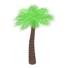 Canvas Print - Garden palm tree icon. Isometric of garden palm tree vector icon for web design isolated on white background