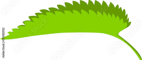 Cuadros en Lienzo Nettle leaf bent in half, vector, on a white background