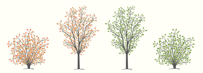 Tree and shrub in two versions, autumn and summer