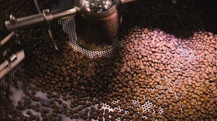 Poster - Production of fresh fried coffee beans roasting factory process. Prepared coffee beans mixing around on a cooling plate of an oven.
