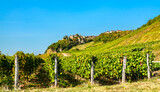 Fototapeta  - Chateau-Chalon village above its vineyards in Franche-Comte, France
