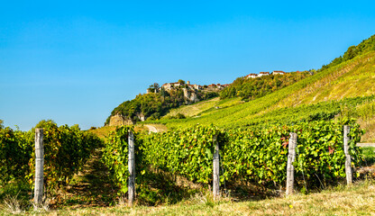 Wall Mural - Chateau-Chalon village above its vineyards in Franche-Comte, France