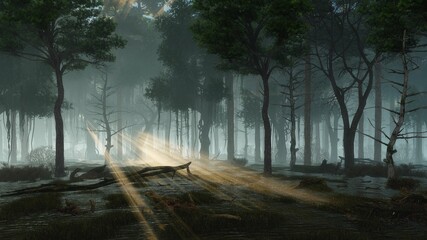 Wall Mural - mysterious woodland landscape with supernatural fairy firefly lights flying in a last sun rays shini