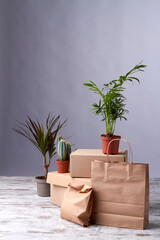 Wall Mural - Collection recycle brown box packaging. Houseplants are on the carton boxes.