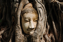 Close Up Image Of Ancient Buddha Head Statue With Trapped In Bodhi Tree Roots At Mahathat Temple Ayutthaya Historical Park Thailand.