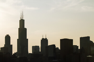 Fototapete - Beautiful Chicago skyline at sunset, backlit