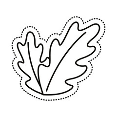 Canvas Print - leafs plant sticker line style icon