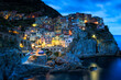 © Tandem Stock - Scenic view of Manarola town on coastline at twilight