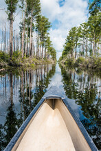 View Of Canoe Moving In Okefenokee Swamp