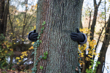 Wall Mural - closeup of woman hugging a tree trunk in a public garden