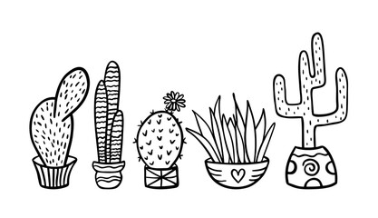 Sticker - Succulent cactus flower pot vector print