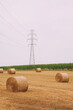 © Radosaw - Bale z sianem pod linią wysokiego napięcia