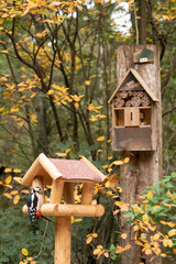 wooden bird house