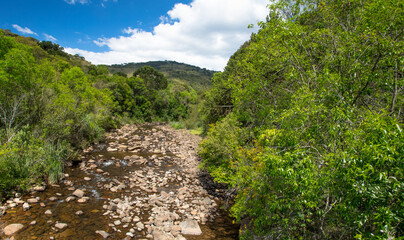 Sticker - Paisagem com rio e floresta