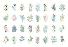 Vector Set Of Nerd Elements With Circles Of Different Colors On An Isolated Background. Tropical Plants, Leaves And Branches With Flowers. Hand Drawn Style. For Printing On Fabric And Clothing,