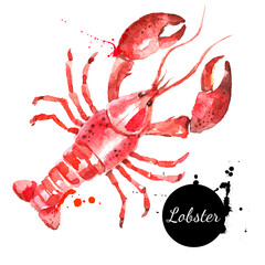 Watercolor hand drawn lobster. Isolated fresh seafood or shellfish food  vector illustration on white background