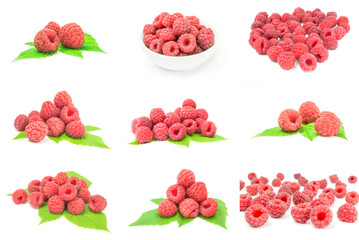 Wall Mural - Group of sweet raspberry isolated on a white background cutout