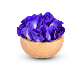 Butterfly pea flower in bowl on white background