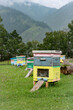 © Sergey - Bee hive on a high-mountain valley in the Altai Mountains