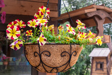 Hanging Pot Of Dry Grass With Colorful Flowers