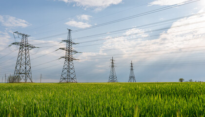 Wall Mural - high voltage lines and power pylons and a green agricultural landscape on a sunny day.