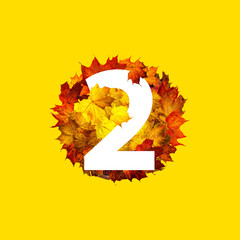 Number two in the circle frame of colorful autumn maple leaves isolated on yellow.