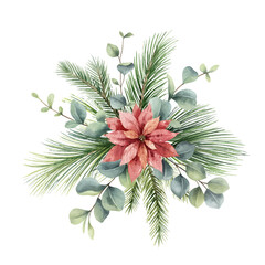 Wall Mural - Watercolor vector Christmas bouquet with fir branches, poinsettia and eucalyptus.