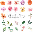 © anjaartstudio - Watercolor Flowers Vector Collection
