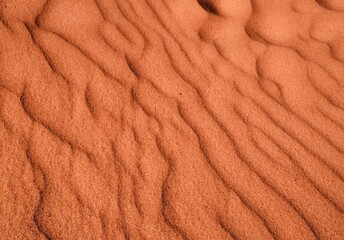 Wall Mural - Texture Sand Dune Desert in Gran Canaria Island Spain