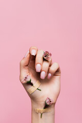 Wall Mural - band aids with flowers on female hand isolated on pink