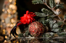 Beautiful Christmas Toys Shiny Red Ball And Bright Bird Near Fir Branches