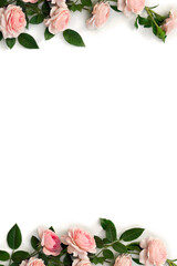 Wall Mural - frame of flowers pink roses with leaves on a white background with space for text. top view, flat la