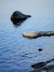 Wall Mural - stones in water