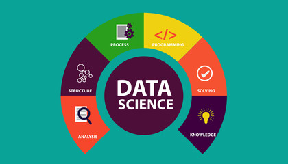 data science infographics vector illustration, data analysis, structure, data processing, programming