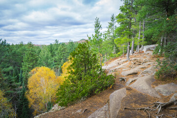 Two Rivers Trail is an easy hike that brings the hiker to a cliff with a view on the Algonquin pine forest