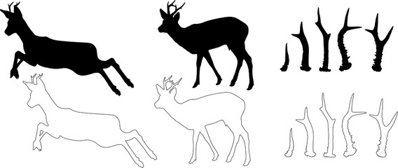 Sticker - silhouette and outline of Roe deer (Capreolus capreolus), vector on white background