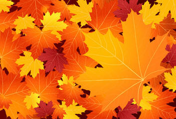 Wall Mural - maple leaves background