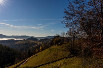 sunrise view from the mountains of Romania autumn with fog