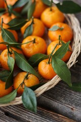 Sticker - Juicy tangerines with green leaves on a wooden table 