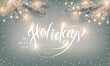 Happy Holidays Winter Background. Christmas Lights, sprig of fir and Xmas Lettering Greeting Card
