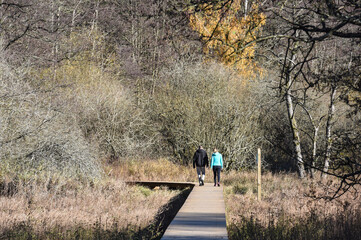 Sticker - Belgique Wallonie bois foret automne saison climat couple