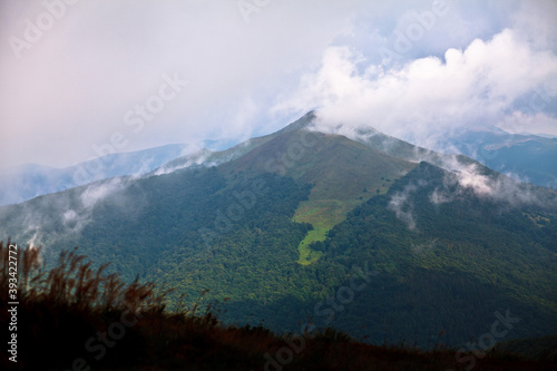 polonina-carynska-parujaca-po-deszczu-w-cieply-letni-dzien-wakacji-bieszczady-polska