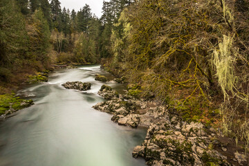 Poster - Rocky river with mossy forest along the banks. North Santiam river in Oregon, USA