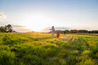 © Julia Otto/Westend61 - Two children with a dog running over a field at sunset