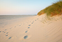 Footprints By Marram Grass On Sand Dune At Beach Against Sky During Sunset