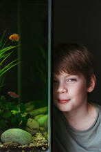 A Young Boy Next To A Home Aquarium.
