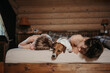 © irina polonina/Stocksy - Two ittle boy and their dog on the bed.