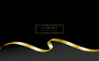 © Pacha M Vector - Luxury gold wave flowing banner vector on dark background.